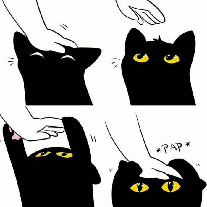 You aren&#039;t allowed to stop, hooman.