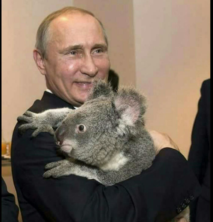 *BREAKING NEWS* Australian Prime Minister is being held hostage by the Russian government.