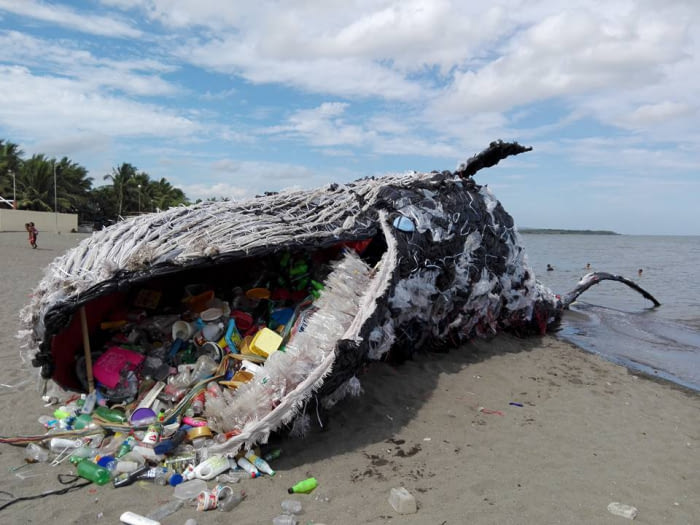 A Dead Whale&#039;s wake-up call.