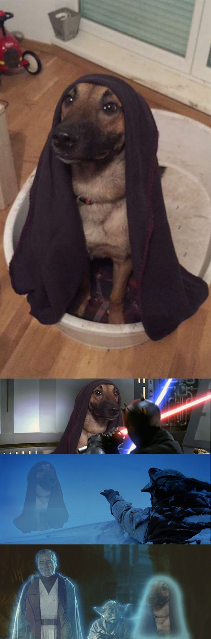 A friend sent me a picture of his dog. I think this doggo is a jedi...