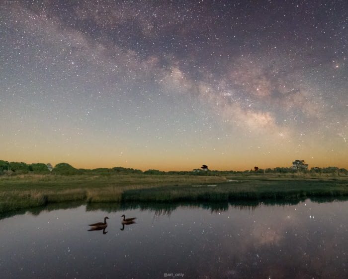 A pair of ducks were kind enough to stay still during my 20 second exposure of the Milky Way