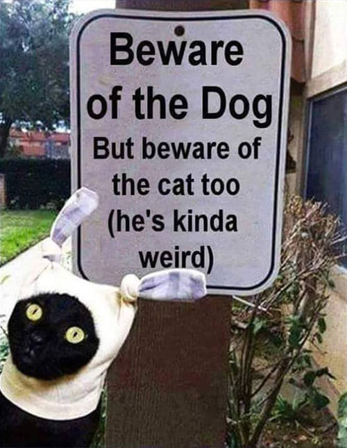 Beware of the weirdness