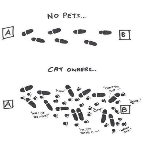 Cat owners