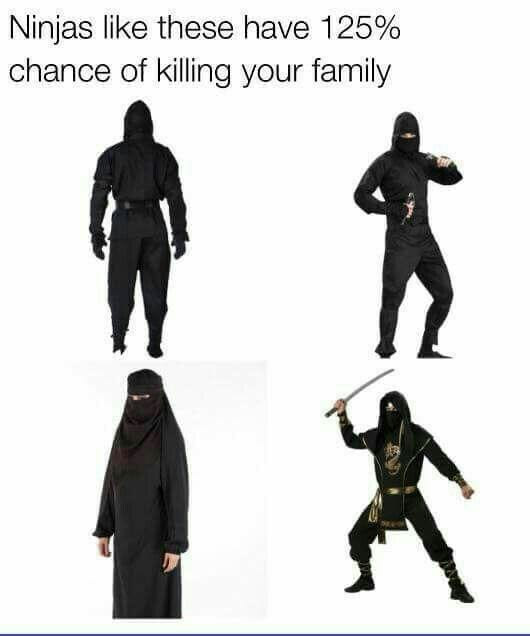 Damned ninjas