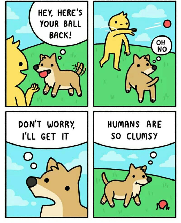 Dem clumsy hoomans