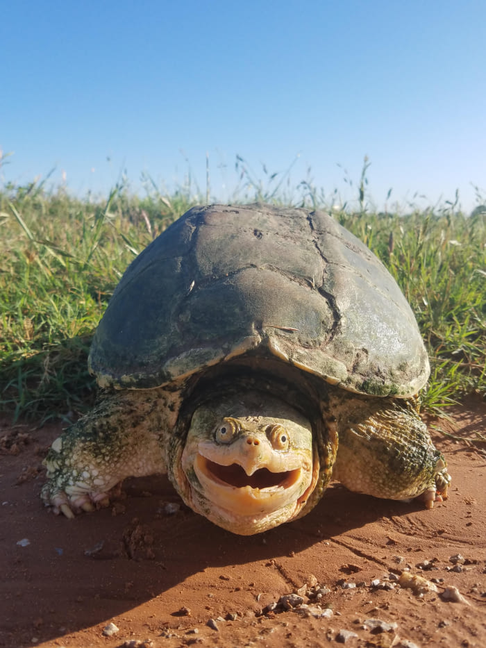 Met this happy guy at work this morning.