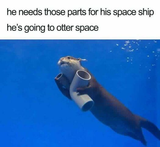 Otter space.