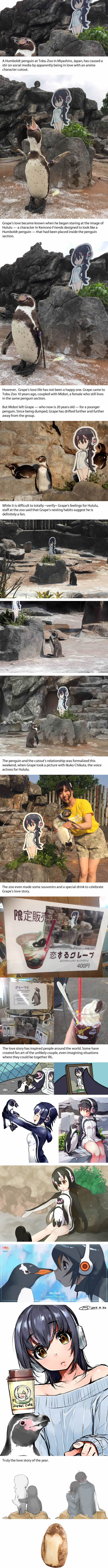 Rejected penguin has found new outlook on life with cutout of anime character