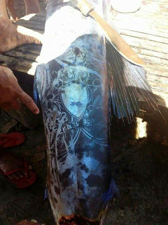 So a fish with tattoo was found in Philippines