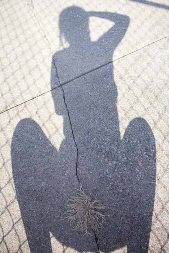 So bushy, that you have to shave your shadow.