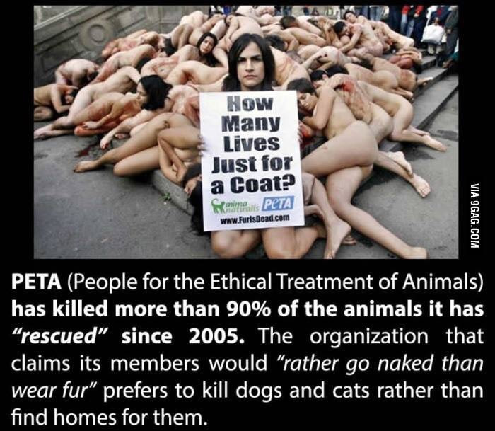 Thanks PETA (Not mine)