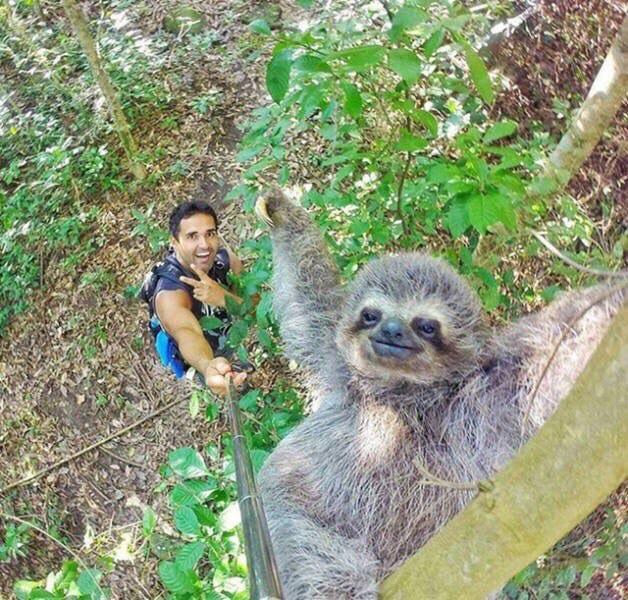 The only acceptable reason to own and use a selfie stick