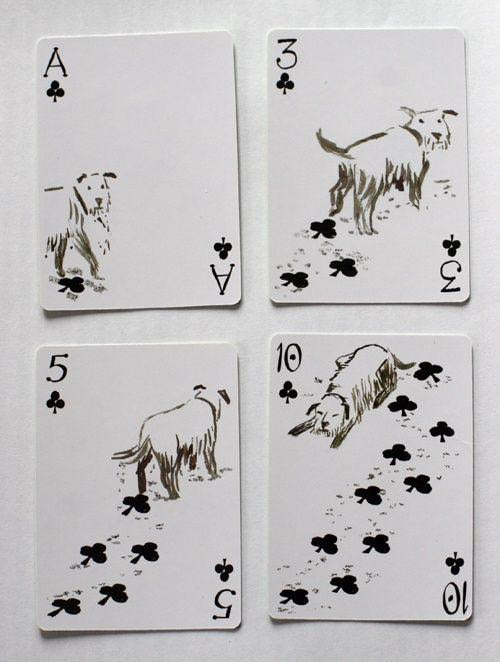 Dog Cards