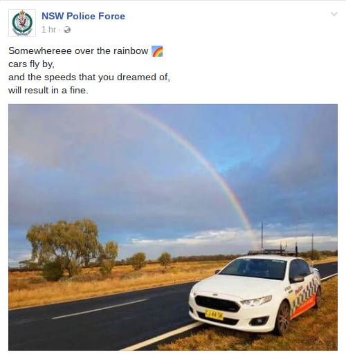 Ladies and Gentlemen: The New South Wales police force