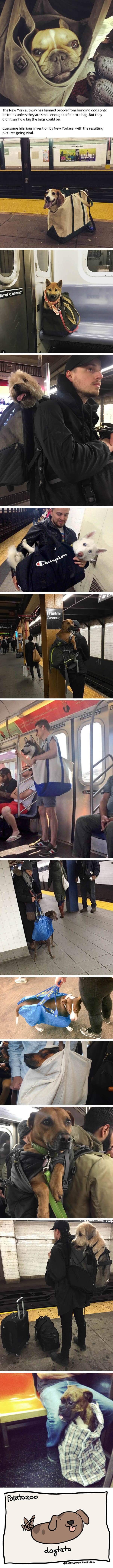 NYC Subway Banned Dogs Unless They Fit In A Bag, So These Owners Got Creative