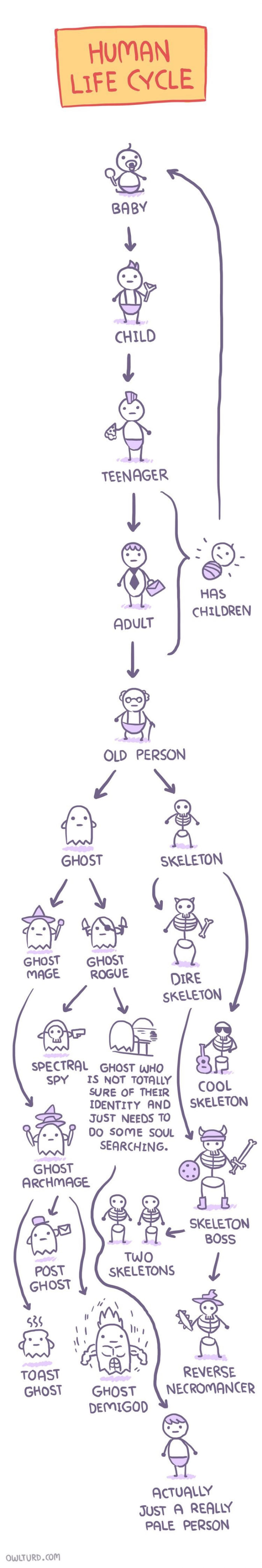 The Cycle of Life