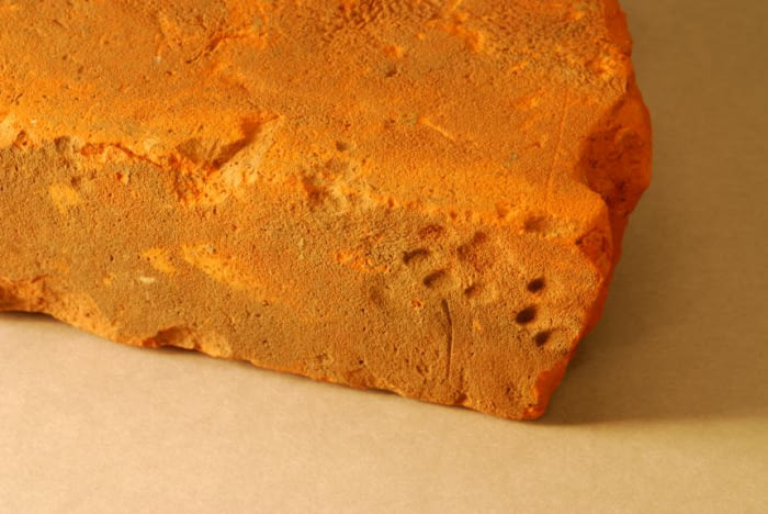 To the guy with the medieval book with cat paws on it: Here is a 2000-year-old roman brick